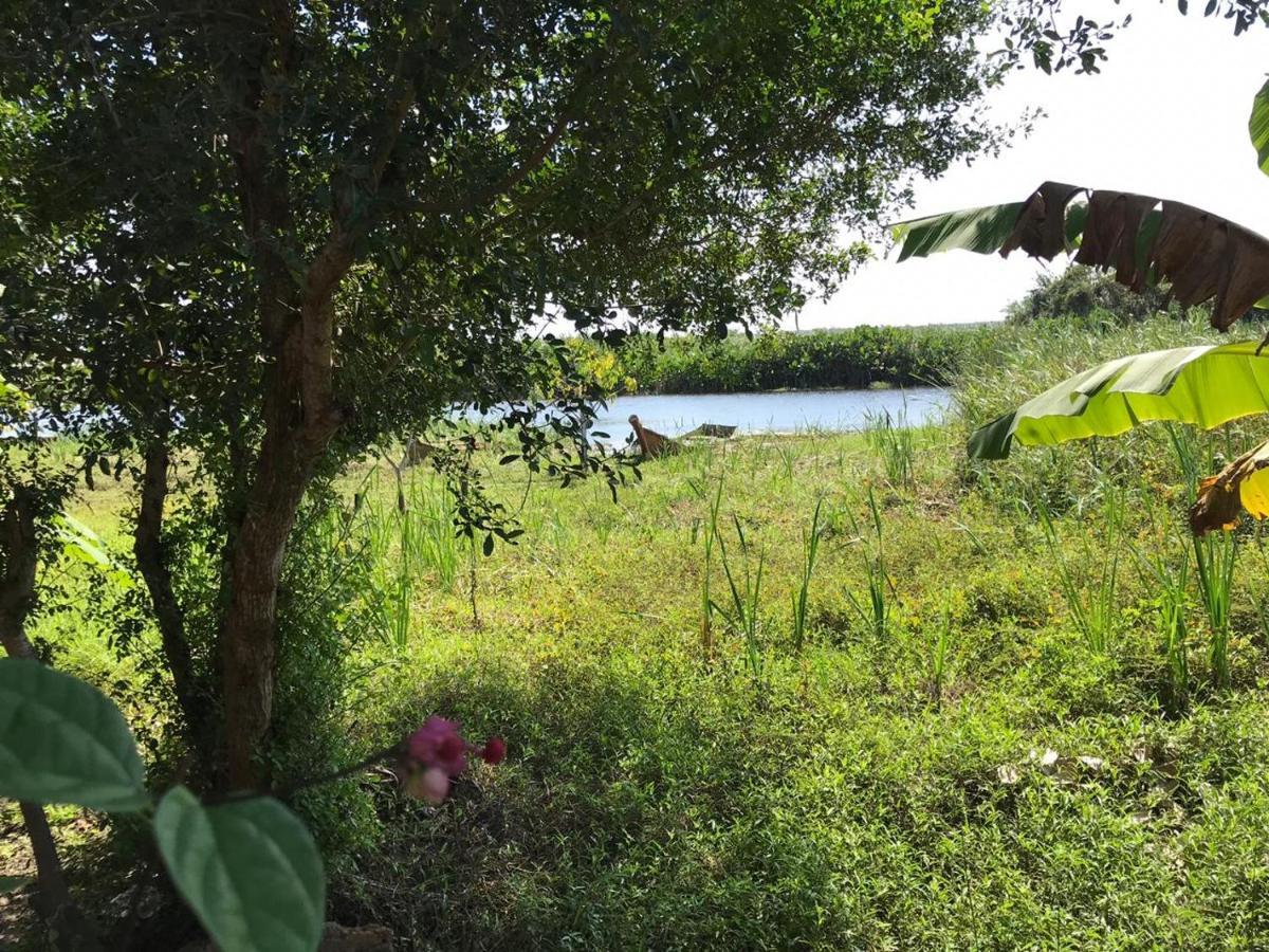 Mangue Seco Inn *